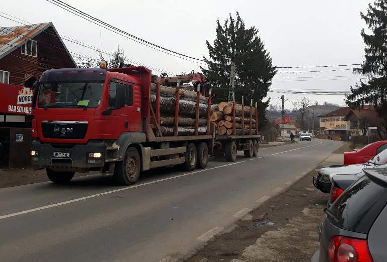 Camioanele cară zi şi noapte lemn tăiat din pădurile Argeşului