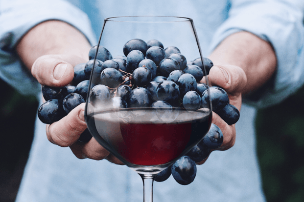 Cu ce se opreste vinul din fermentatie