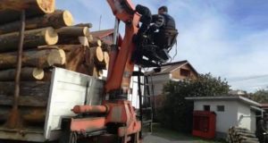 Jandarmii au prins hoții de lemne