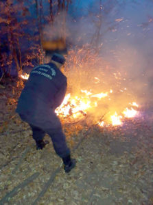 Incendiu în pădure la Beleţi-Negreşti