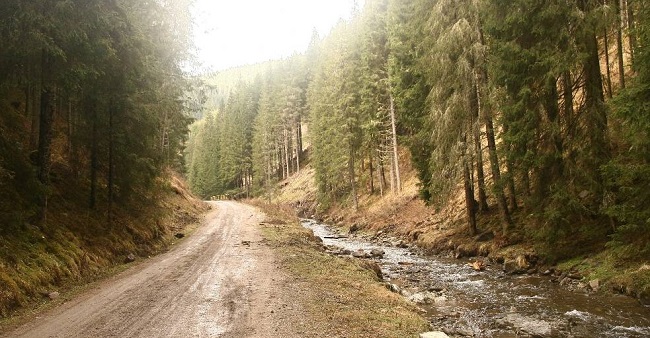 Milioane pentru drumurile forestiere din Argeş