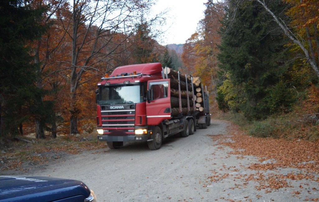 Autocamion cu lemne oprit de jandarmi! A ajuns gol la destinaţie
