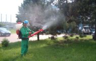 Tratamente fitosanitare în Pitești, între 26 octombrie și 4 noiembrie: calendarul stropirilor în parcuri și pe străzi