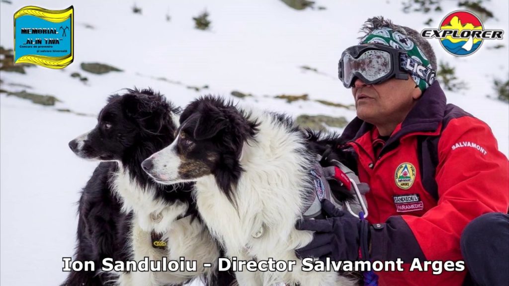 Câinii de avalanşă au propria lege în România