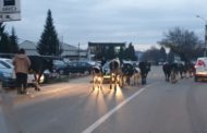 O cireadă de vaci se balegă în drum și blochează traficul în Pitești