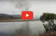 VIDEO - ÎN VINEREA NEAGRĂ. INCENDIU SPECTACULOS PE FALEZA ARGEȘULUI