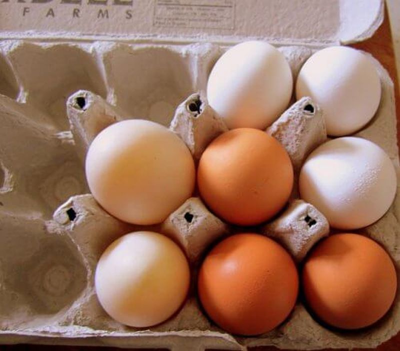 Raport oficial. Cu cât a crescut prețul ouălor față de anul trecut
