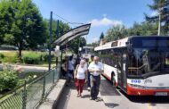 Transport gratuit la „Simfonia Lalelelor”, în Parcul „Lunca Argeșului” din Piteşti