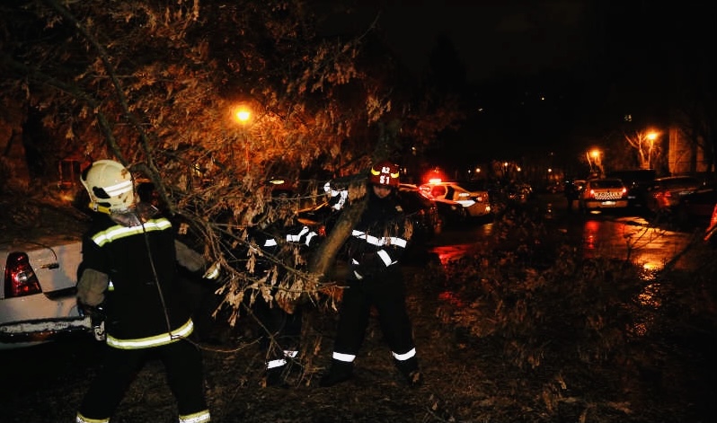 Copaci căzuți și mașini avariate la Curtea de Argeș