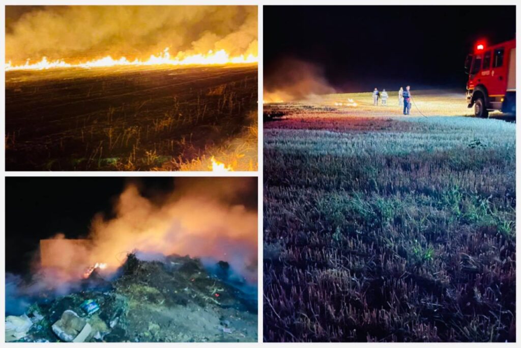 (Video) Mai multe localităţi din Argeş, pârjolite de incendii