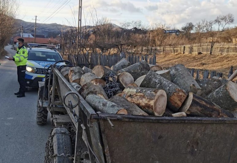 Hoț de lemne fără permis  și cu autovehicul neînmatriculat în Argeș