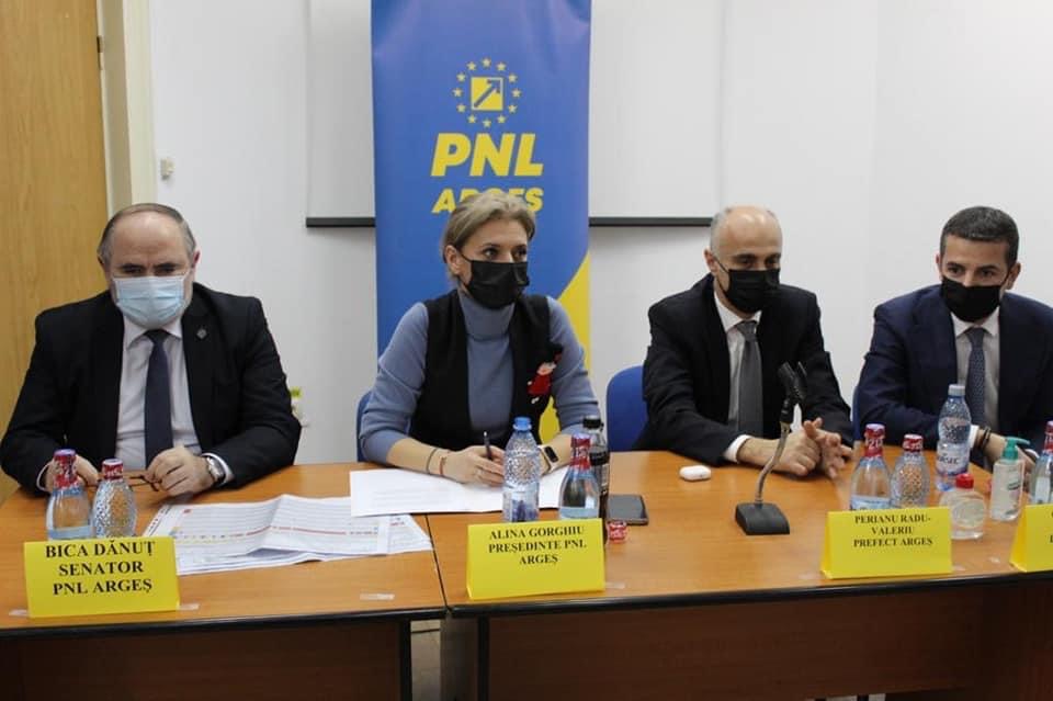 Alegerile la PNL Argeş, pe 7 mai