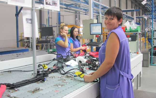 Leoni aduce la Pitești angajate ale fabricilor din Ucraina