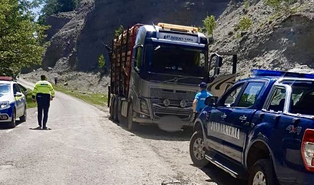 Transport ilegal de lemne. Dosar penal și camion confiscat