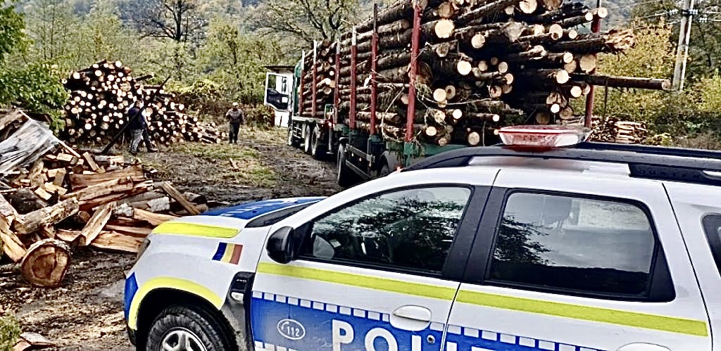 8 bărbați au fost prinși la furat lemne în Argeș, amenzi de 8.000 lei