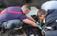 Pompierii ISU Argeș au salvat o viață