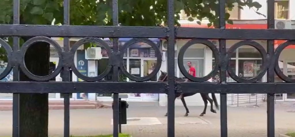 Video: Călare pe cal prin centrul Piteștiului