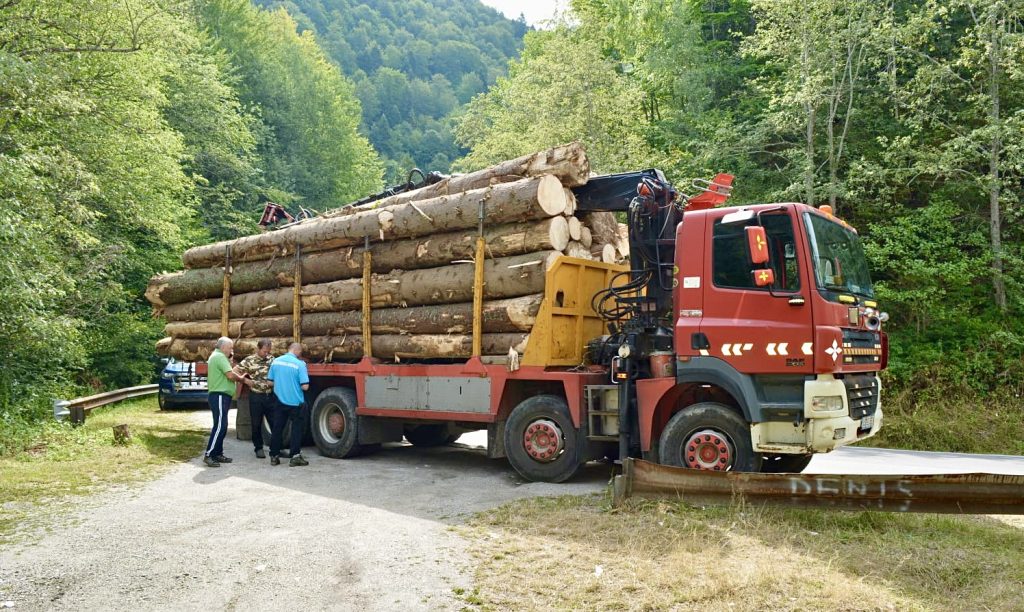Argeș: Jandarmii l-au lăsat fără camion și lemnele transportate ilegal