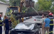 Viral: Momentul în care un excavatorist scapă copacul pe BMW