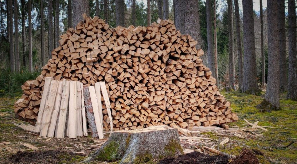 Senatorul Bica s-a interesat de stocurile de lemn de foc