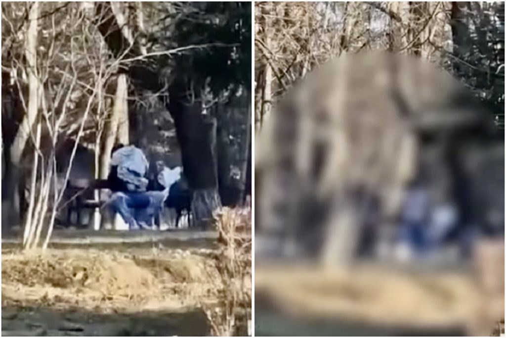 Doi tineri fac sex în parc pe o bancă ziua în amiaza mare