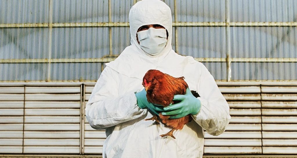 Primul caz de gripă aviară la om. Cine este pacientul 