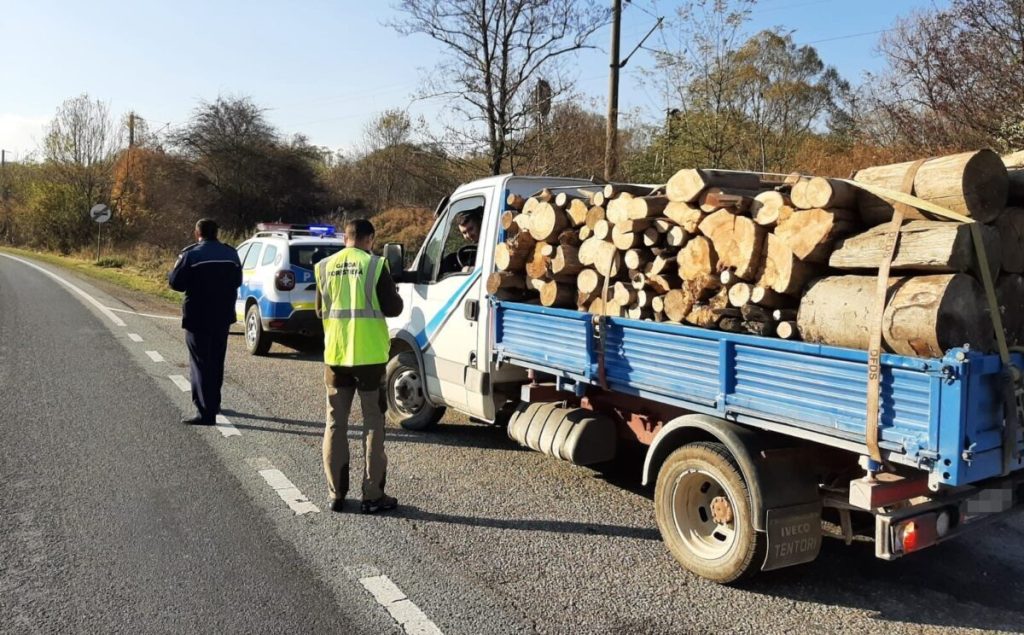 19 amenzi pentru delicte silvice și lemne confiscate în Argeș