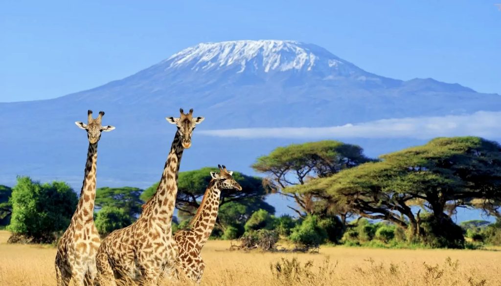 Tanzania, vacanța perfectă în 2023!