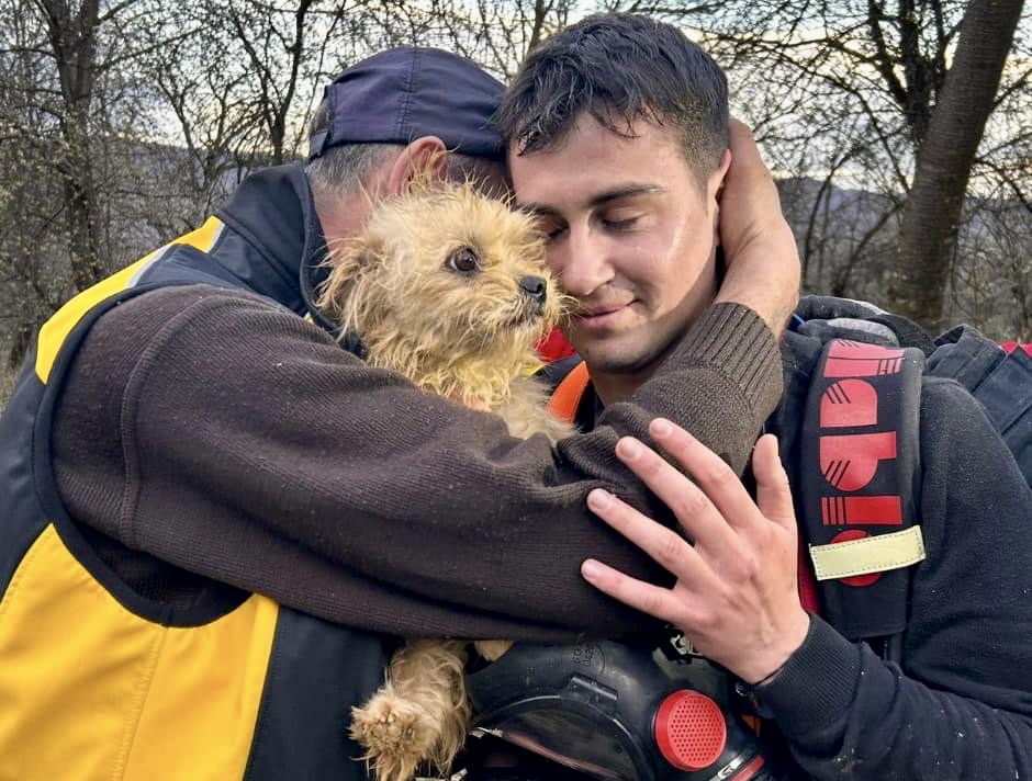 Cățelușă salvată de pompierii argeșeni după o săptămână de căutări