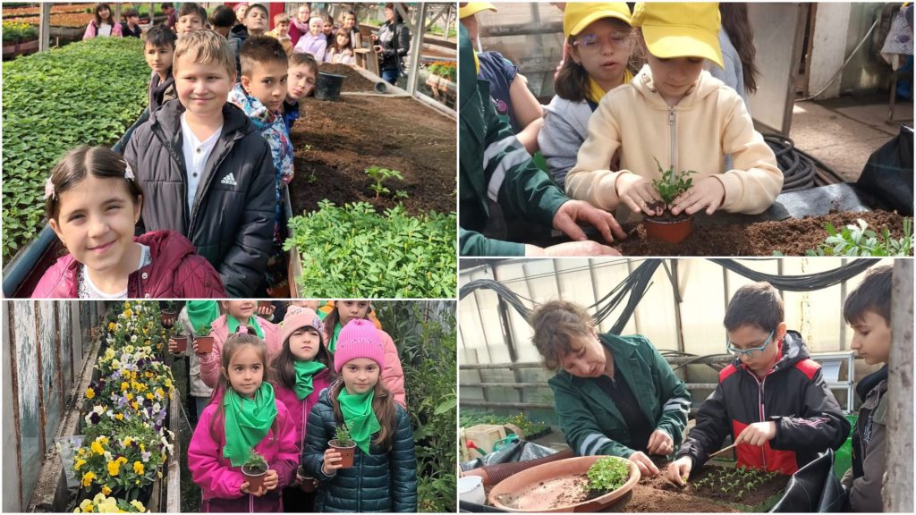 Pitești. Elevii de la școlile Traian, „Ion Pillat” și „Marin Preda” au învățat cum se cultivă plantele