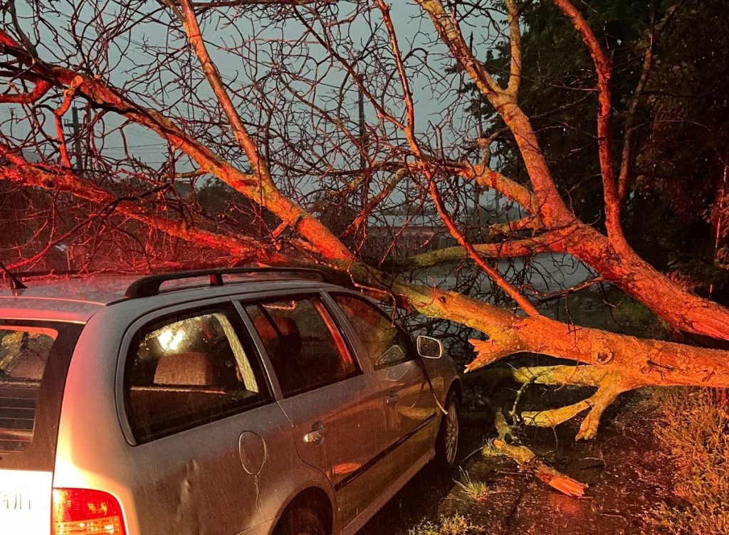 Argeş. Furtuna de azi noapte a doborât copaci, un autoturism a fost avariat