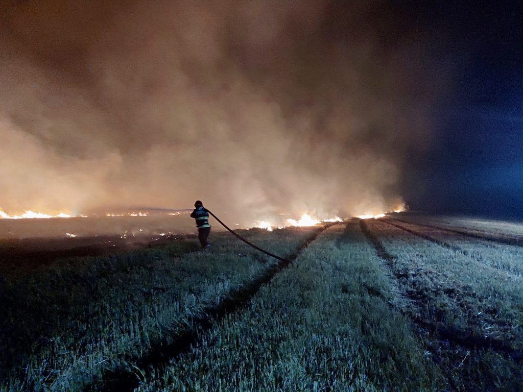 Incendii de vegetație pe aproape 20 de hectare în Argeș