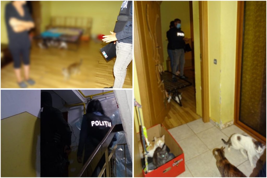 Șocant ce au găsit polițiștii în apartamentul unei femei din Pitești!
