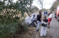 Poliția Argeș a deschis dosar penal, după ce un copac doborât de vânt a avariat trei autoturisme