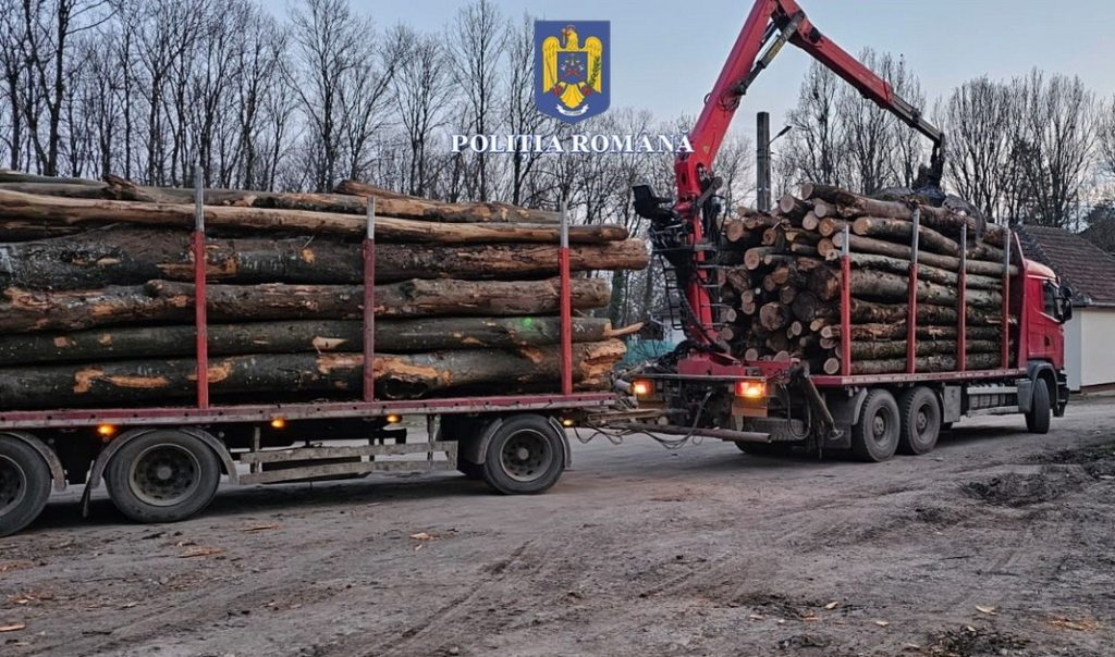 Nereguli grave privind transporturile de lemne în Argeș