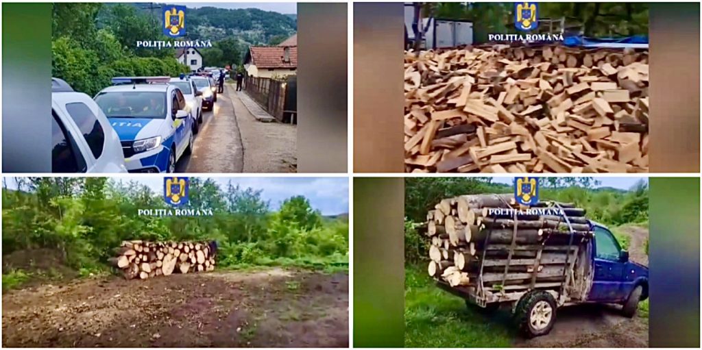 Percheziții. 19 hoți de lemne din Argeș au fost ridicați de mascați