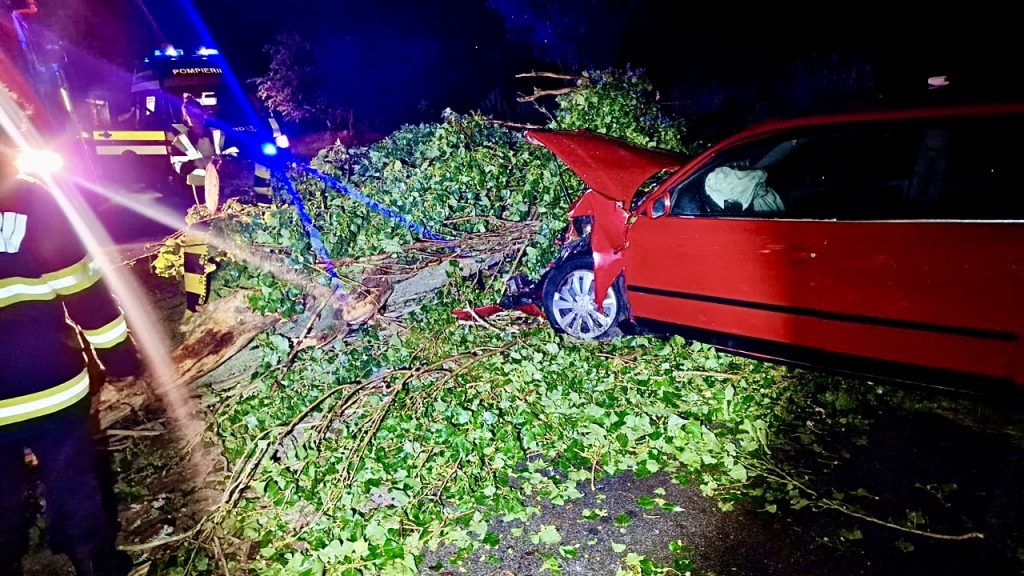 Copac căzut peste un autoturism, conductă avariată în Pitești