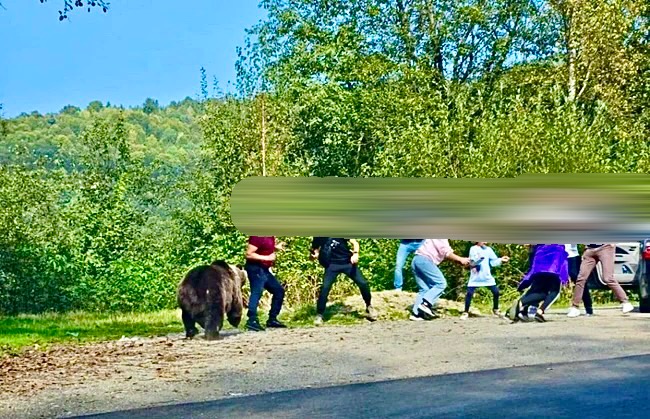 Camere video pe Transfăgărășan, se riscă amenzi de 5000 lei