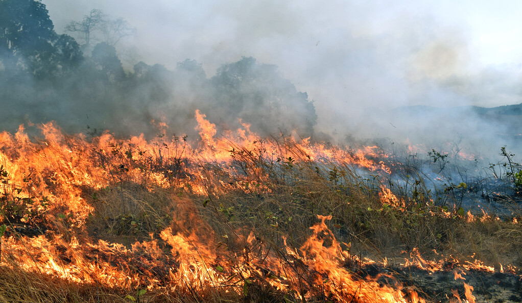 Mai multe incendii au izbucnit astăzi în județul Argeș