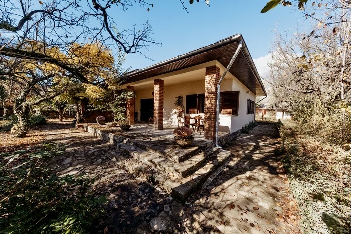 Casa din Argeș unde a locuit cel mai cunoscut medic din România