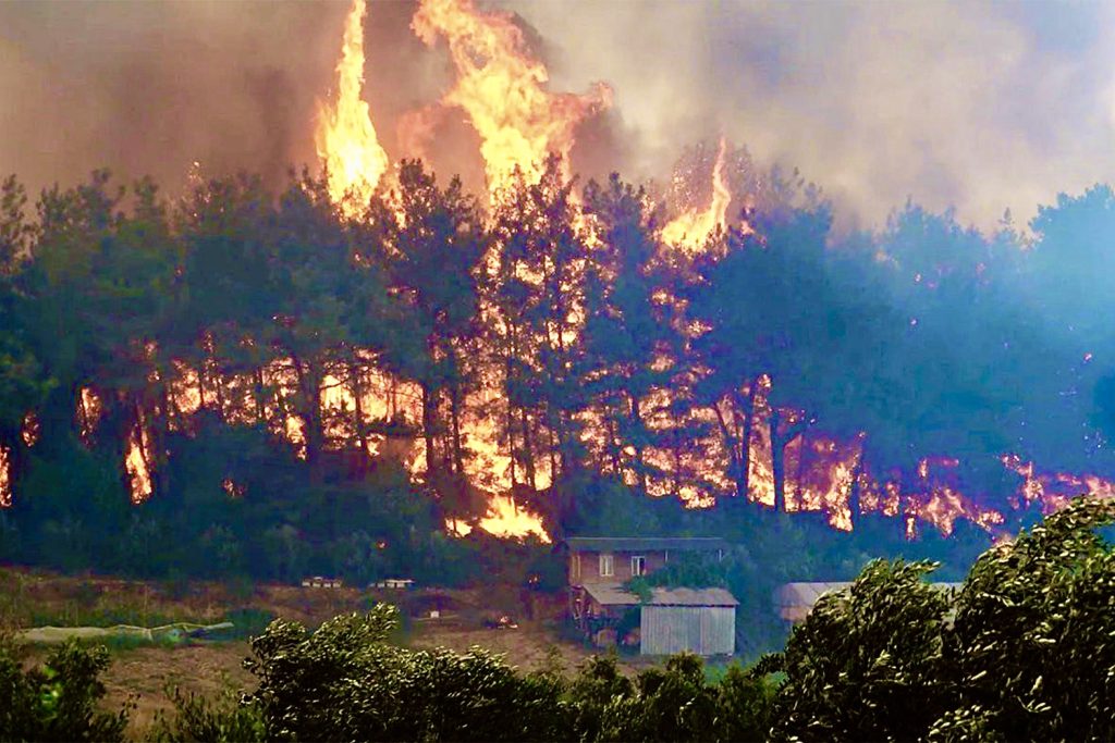 Incendiu puternic în Argeș. Pericol de propagare într-o pădure 1 IMG 4153