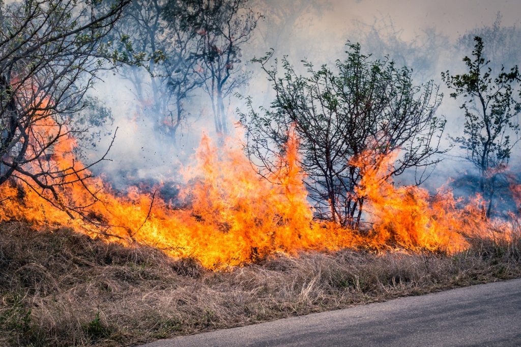 Incendii de vegetație la această oră în 6 localități din județul Argeș