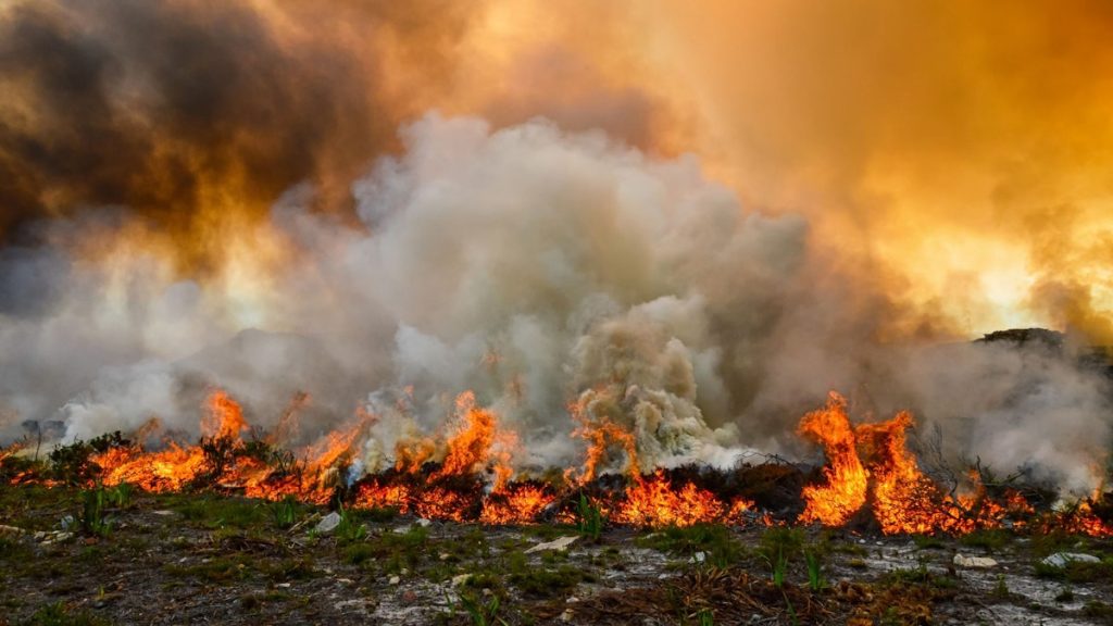 Argeș. Fenomenul periculos care nu poate fi oprit! Arde acum în mai multe localități