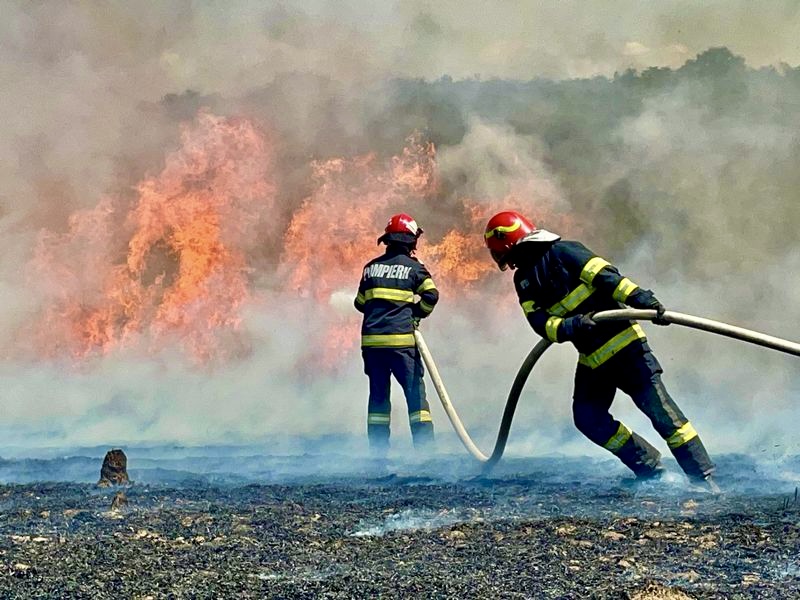 Incendii puternice în Argeș. Au fost distruse terenuri, iar pompierii încă se luptă cu focul