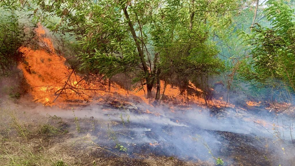 Șase incendii au izbucnit astăzi în mai multe comune din Argeș