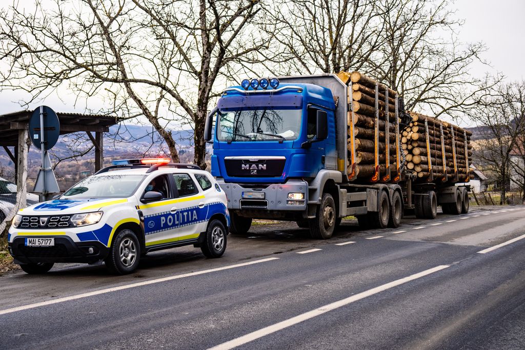 Lemne confiscate de peste 7.000 de lei în Argeș. Prinși când se așteptau mai puțin!