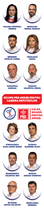 PSD 150X700 deputati 