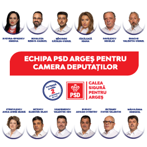 PSD 300x300 deputati 