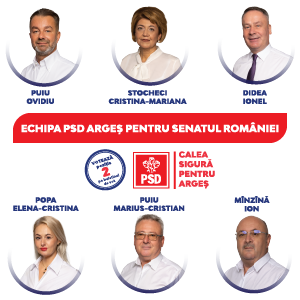 PSD 300x300 senatori