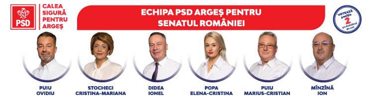 PSD 750x200 senatori